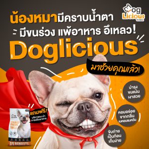 Doglicious-2